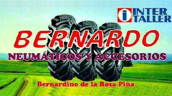 Banner con el logo de Neumáticos Bernardo